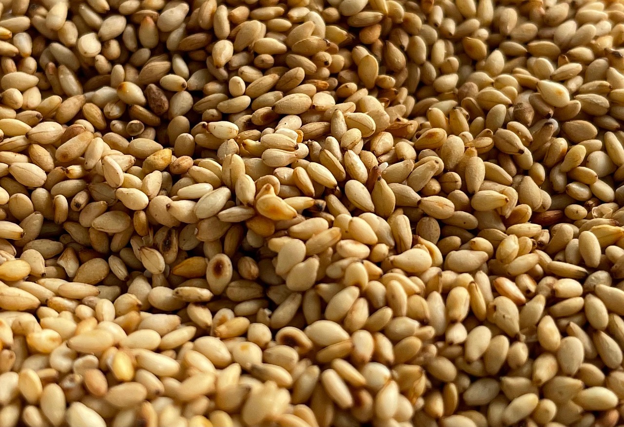 entdecken sie die welt der superfoods: erfahren sie alles über gesunde lebensmittel, ihre vorteile für gesundheit und wohlbefinden und wie sie diese einfach in ihren alltag integrieren können.